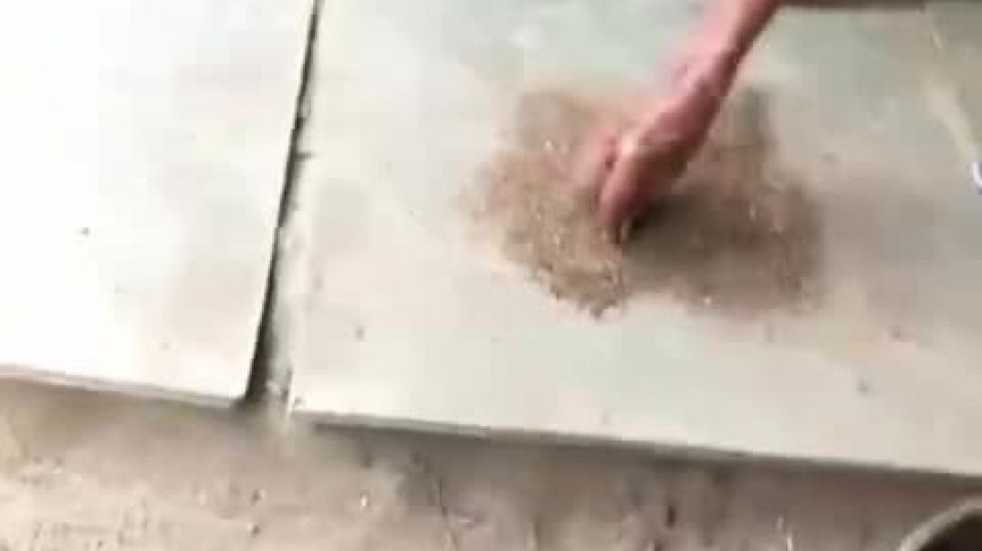 देसी मिट्टी के बर्तन 🌱🦜