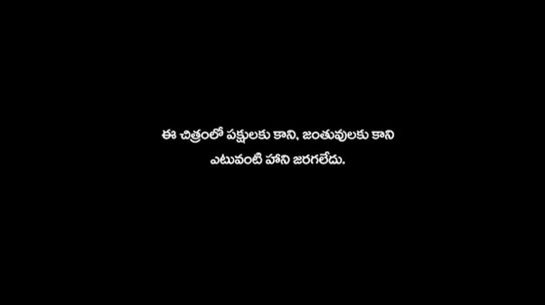 ⁣Baapu (A Fathers Story) (2025)