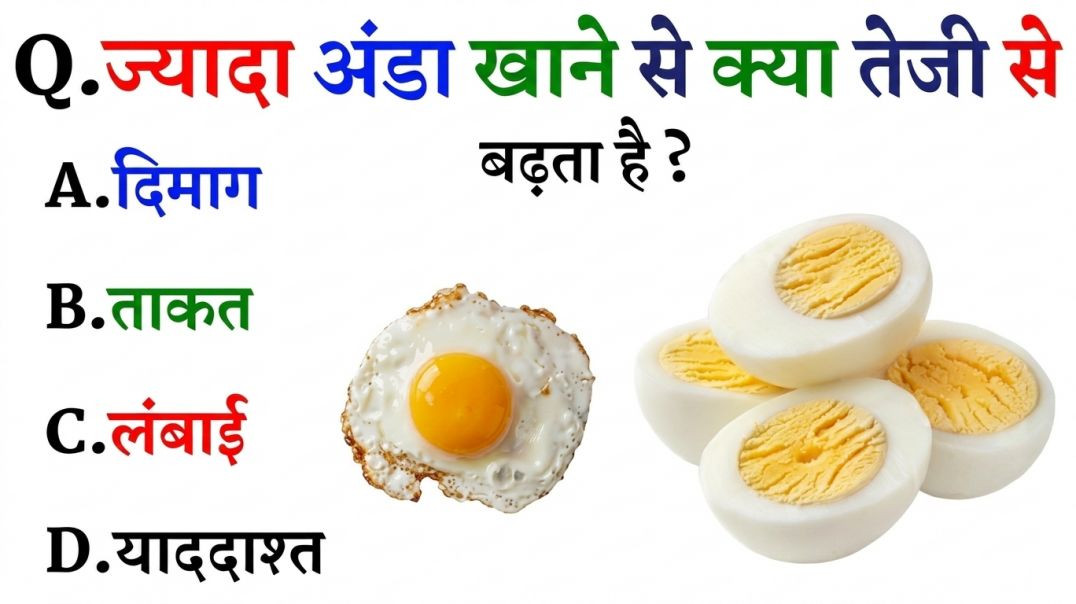 ⁣GK Question || GK In Hindi || GK Question and Answer || GK Quiz || Riya Rawani ||