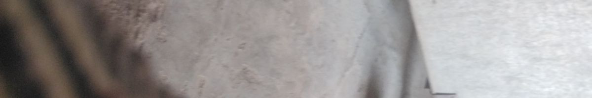 115600249380304368577 