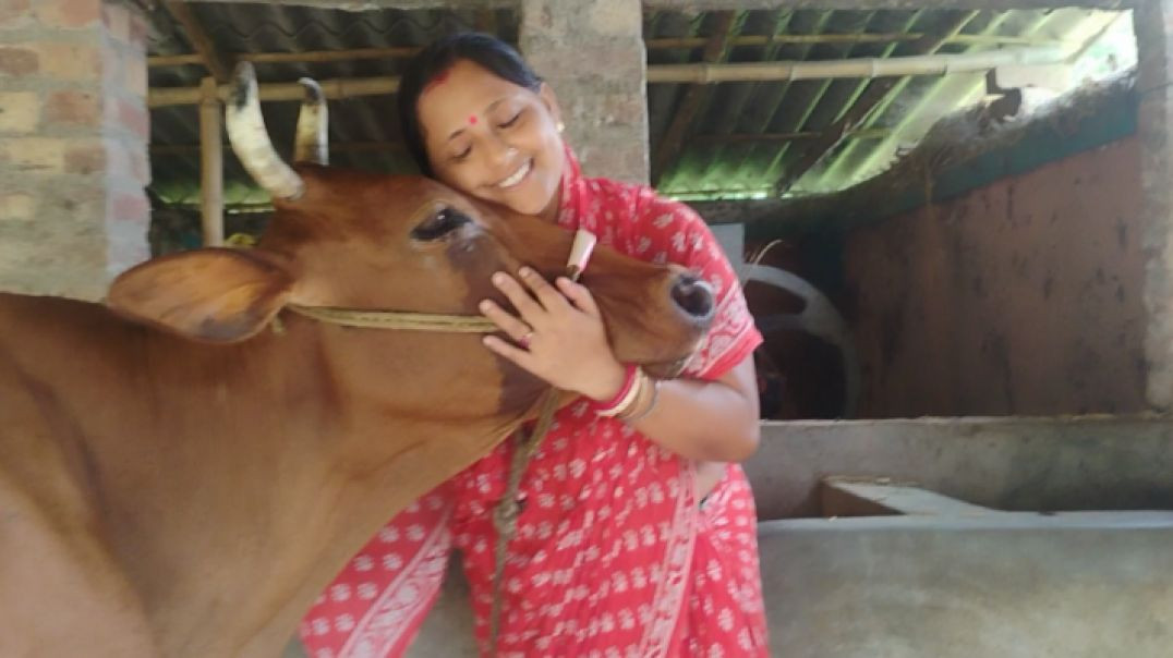 ⁣Real Banglae Village Life । গ্রাম বাংলার সহজ সরল বাস্তব জীবন