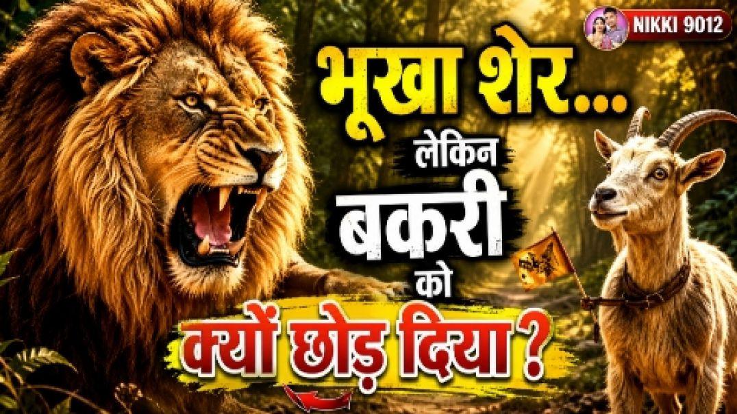 ⁣शेर ने बकरी को छोड़ दिया! वजह जानकर आप भी हैरान रह जाएंगे | शिक्षाप्रद कहानी | Nikki 9012