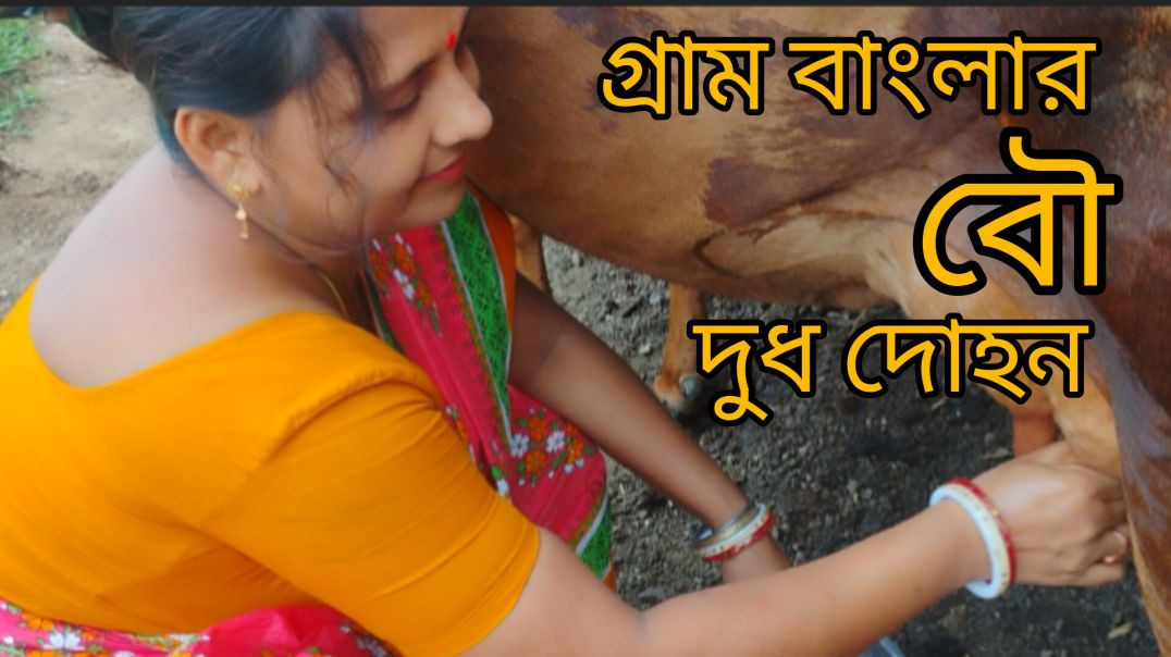 Housewife Daily Routine in village life । গ্রাম বাংলার বৌ । দুধ দোহনের ভিডিও #villagelife