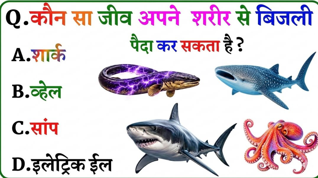 ⁣GK Question || GK In Hindi || GK Question and Answer || GK Quiz || Riya Rawani || 51