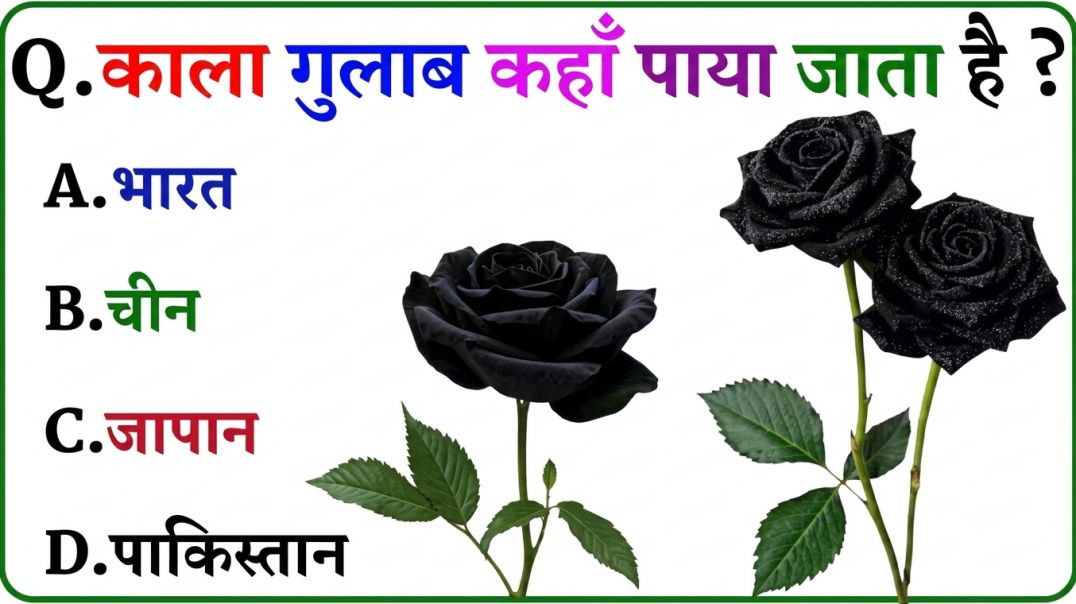 ⁣GK Question || GK In Hindi || GK Question and Answer || GK Quiz || Riya Rawani ||