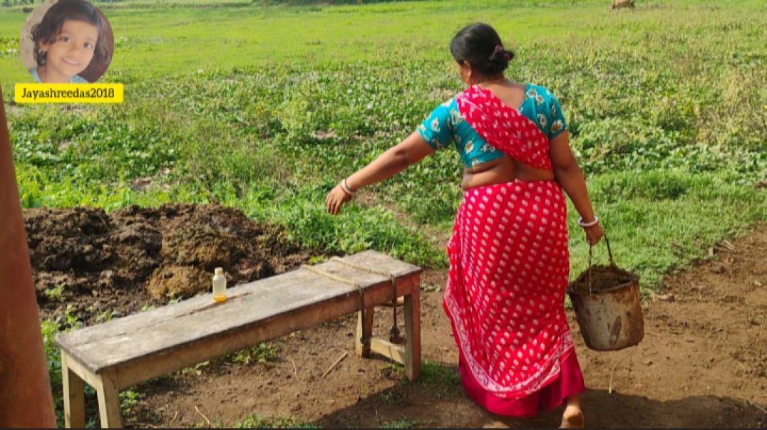 Morning House wife village life #dailyvlog#indianfamily#treanding