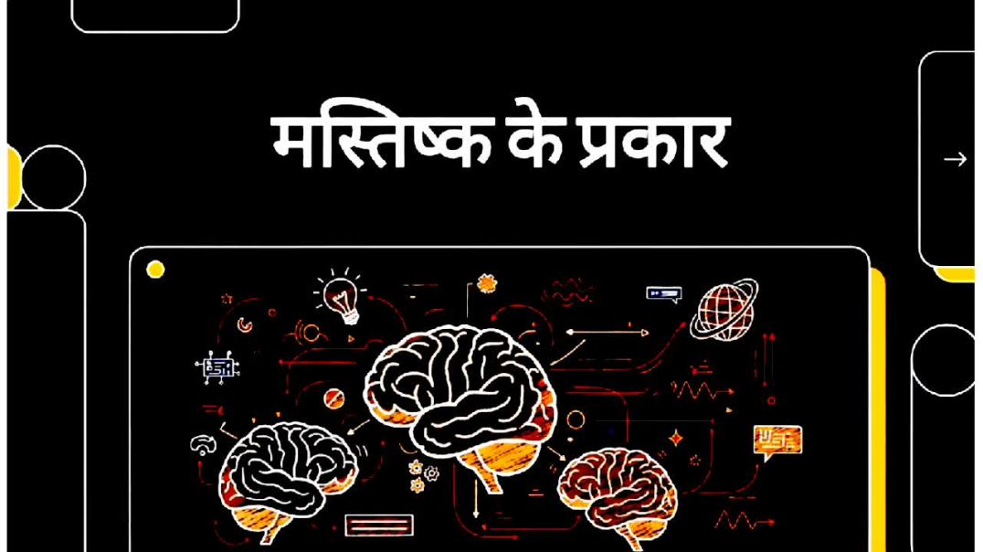 ⁣Type of brain in Hindi