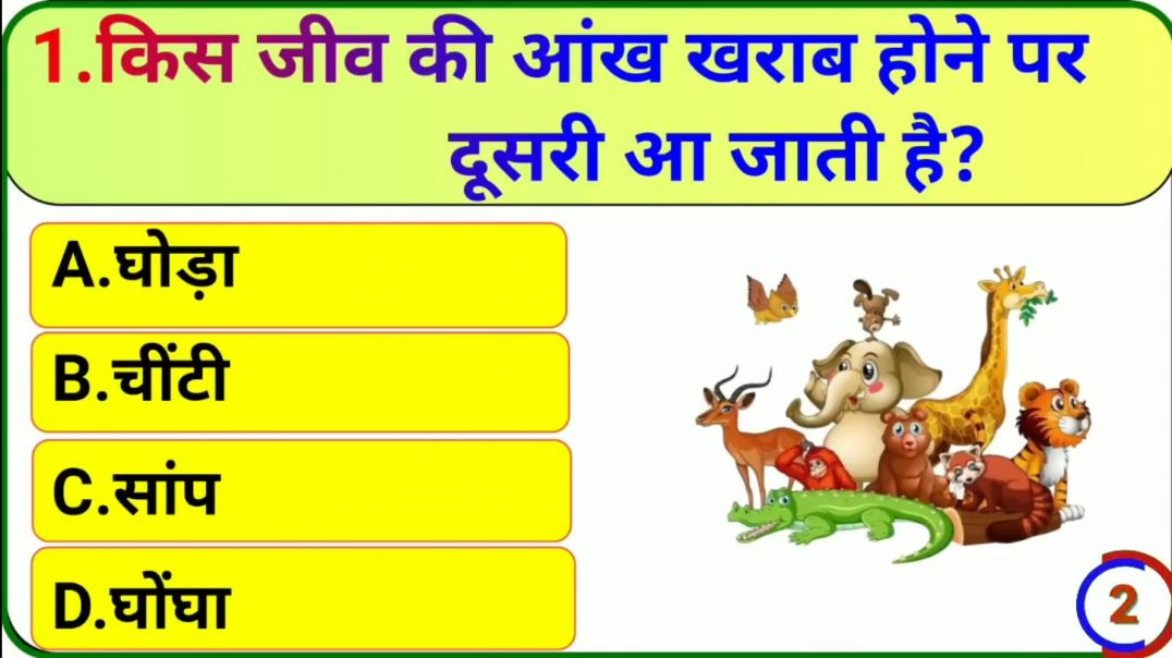 ⁣Gk Questions|Gk Quiz|Gk in Hindi