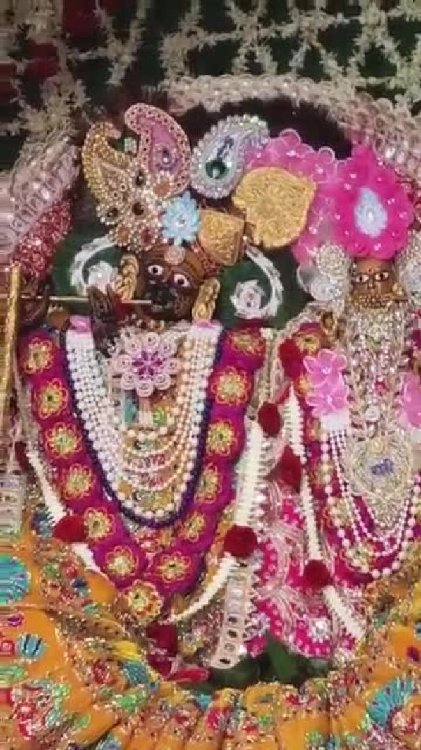 26/62026  राधारानी जी की सुबह की आरती और दर्शन करो #राधारानी #राधा #apnatube