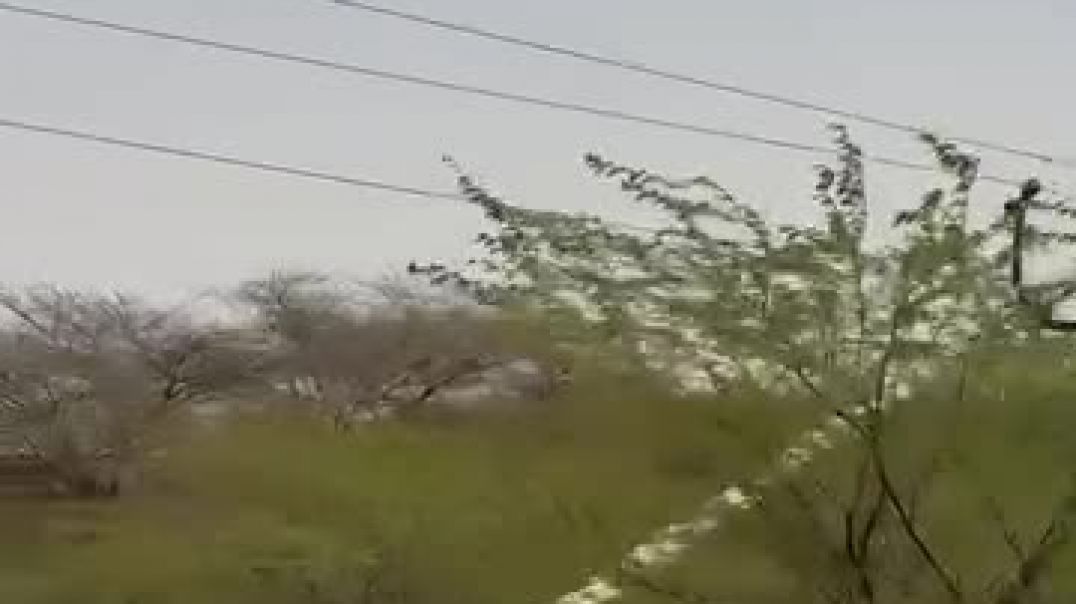 ⁣विद्युत विभाग और जिला प्रशासन होश में आओ_(480P_SD)