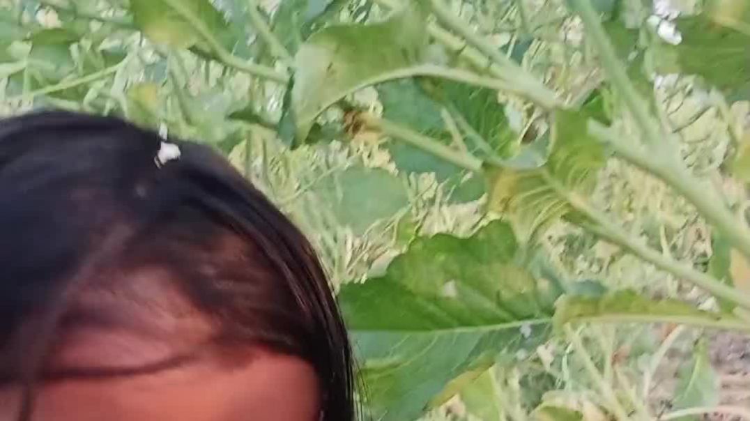 ⁣गाँव में हम इसी तरह खेलते है 🥰🥰