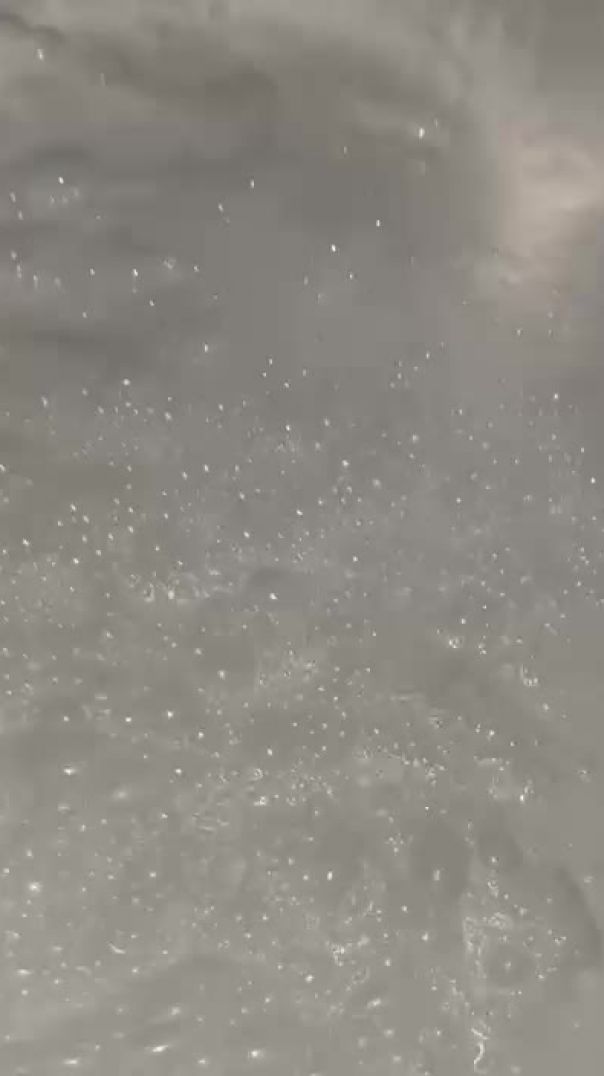 VID-20260608-WA0001