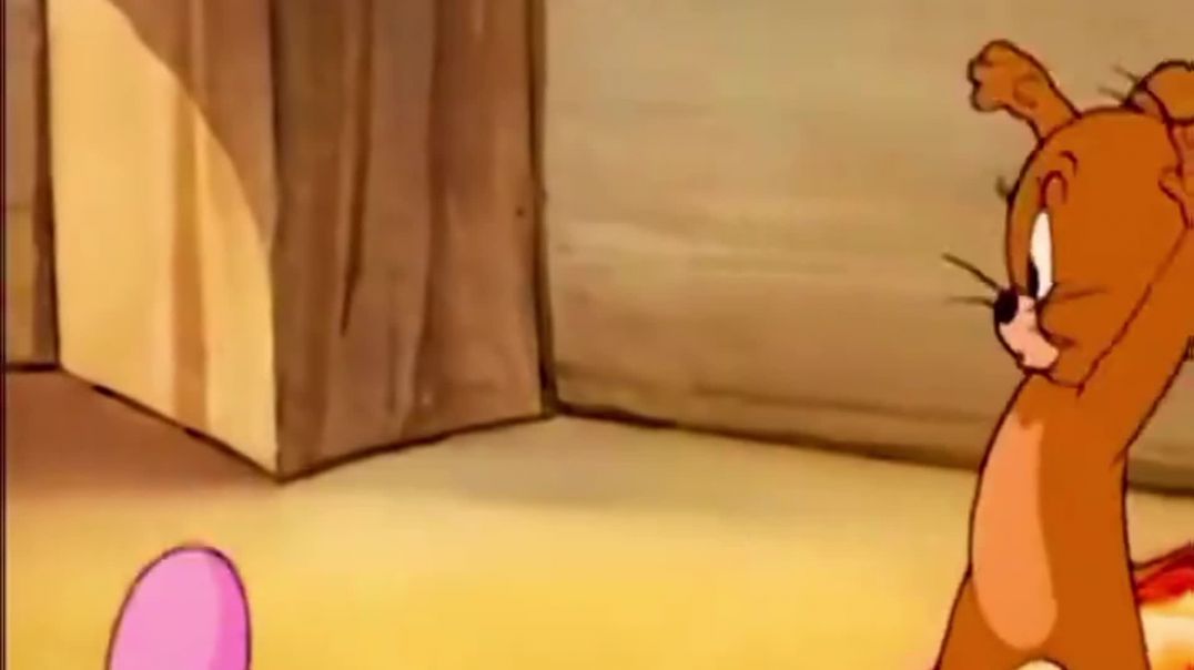 ⁣Tom and Jerry Show Cartoon