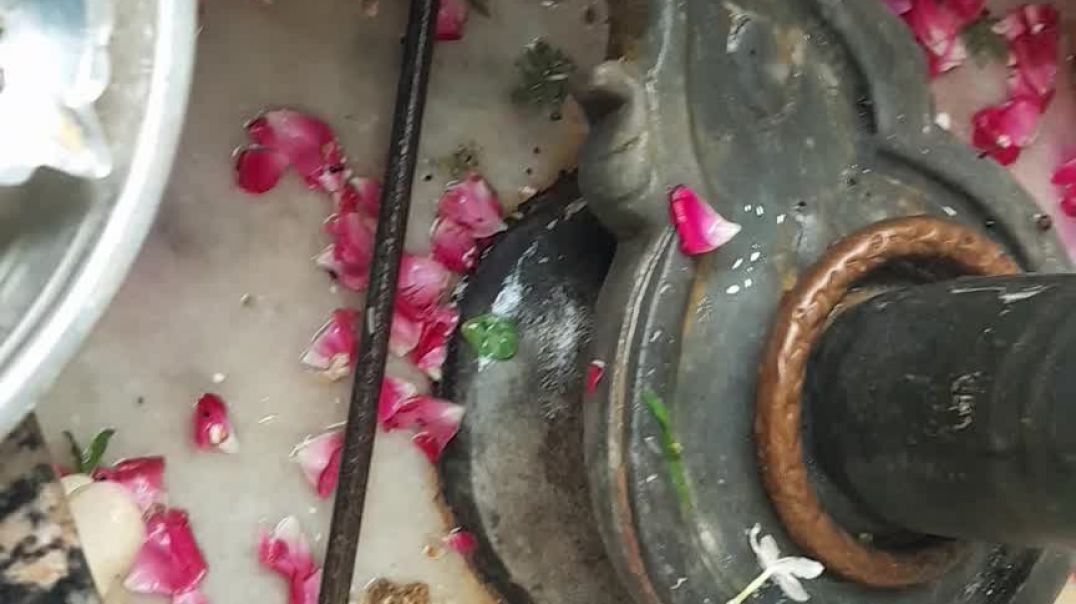 ⁣8 जून पुरुषोत्तम सोमवार अष्टमी के दिन शिवलिंग से चुपचाप उठा लाना ये गुप्त चीज Pradeep Mishra Ji Upay