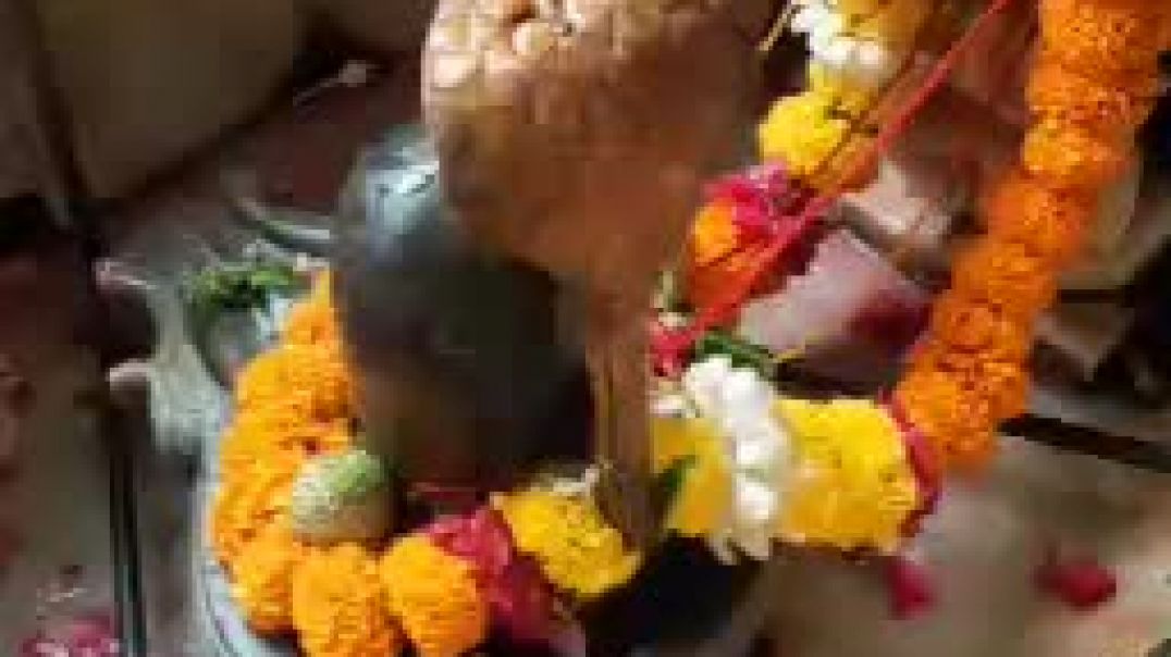 ⁣आज करते हैं आपको अपने मंदिर के दर्शन🙏🏻🕉️ पंडित प्रदीप मिश्रा उपाय