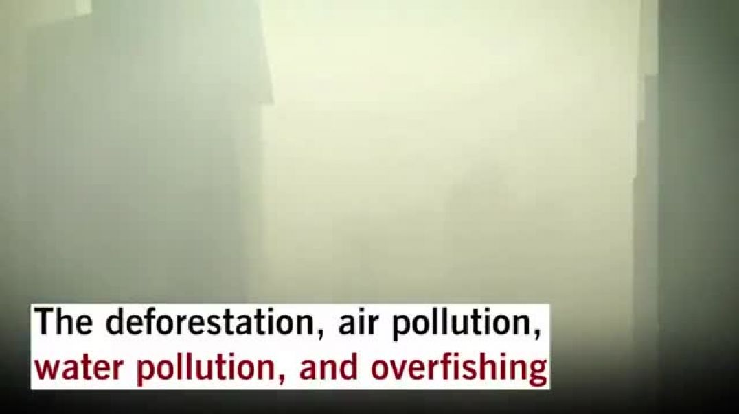 ⁣The Great Greening of China