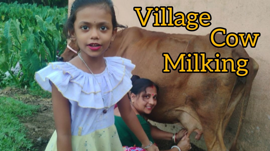 Village family cow milking process in family life #familyvlog#indianfamily#dailyvlog