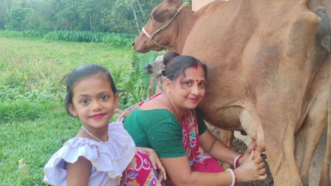 ⁣Simple village life l Morning Household work #familyvlog#dailyvlog#apnatube