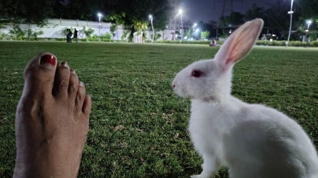 ⁣Beautiful Garden Vlog ❤️#newvlog#apanatubvlog$viralvlog.