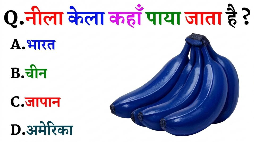 ⁣GK Question || GK In Hindi || GK Question and Answer || GK Quiz || Riya Rawani ||