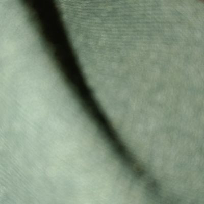 115315768934547117581 