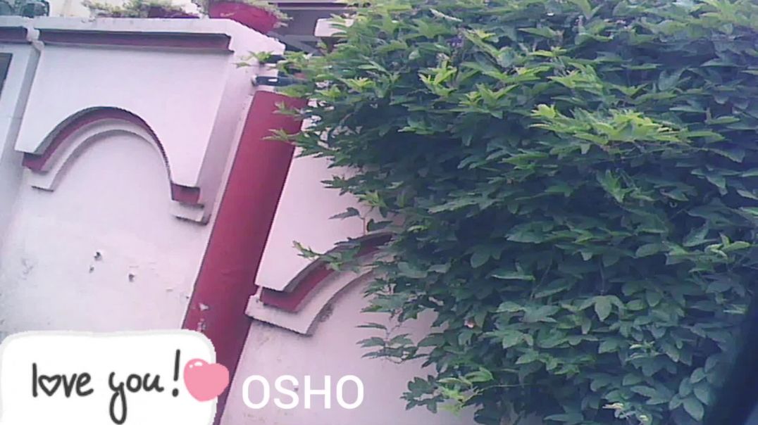 ⁣Video