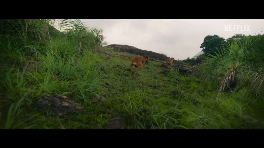⁣Eko___Hindi_Trailer___Sandeep_Pradeep___Dinjith_Ayyathan___Netflix_India(1080p)