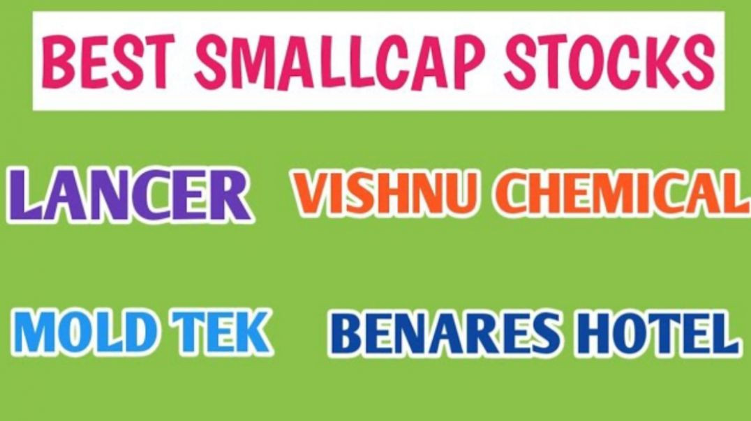 ⁣BEST SMALLCAP STOCKS PORTFOLIO●LANCER CONTAINER●VISHNU CHEMICAL●MOLD TEK @ STOCK MARKET PLANNER