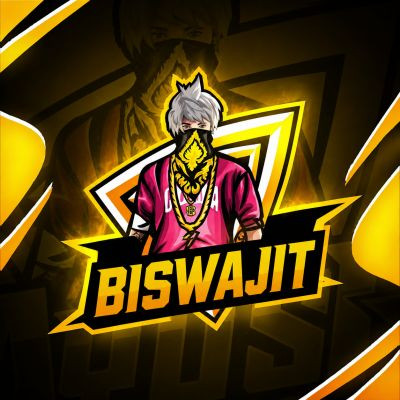 biswajit gamer