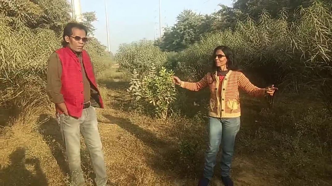 ⁣Pagal_mujhe_Kar_Diya(720p)
