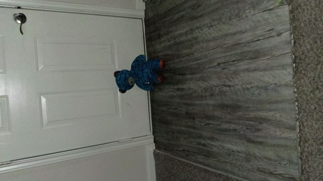 ⁣Evil Blue bear is just staring at me at the front door