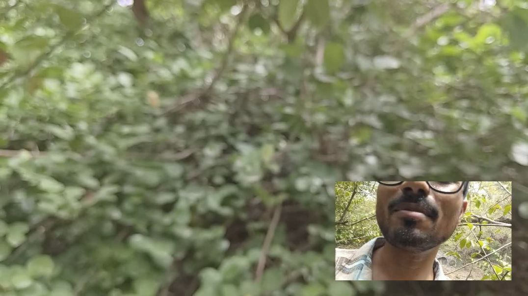 ABURAJ KE PAHADOMO ME #montykvlog