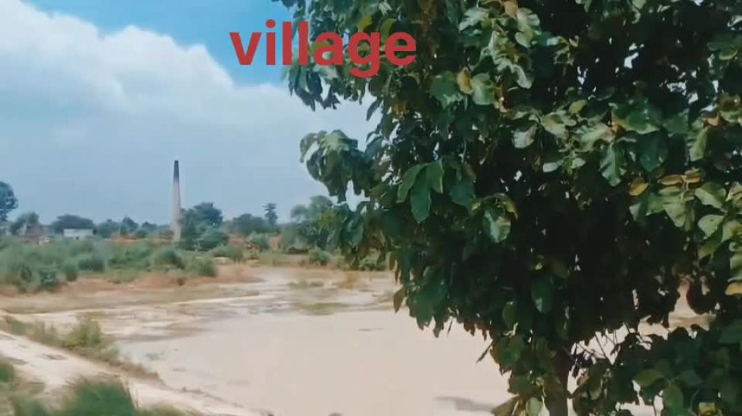 ⁣Beautiful Village View Vlog ❤️❤️ India #newvlog#apanatubvlog#viralvlog#villagevlog.
