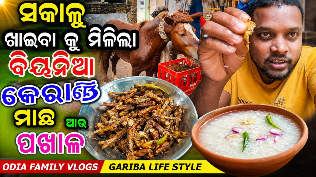 ⁣ସକାଳୁ ଖାଇବା କୁ ମିଳିଲା ବିୟନିଆ କେରାଣ୍ଡି  ମାଛ ଆଉ ପଖାଳ // ODIA FAMILY VLOGS // GARIBA LIFE STYLE