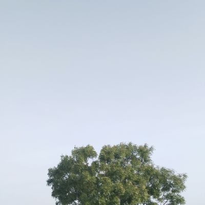 114114001023154075922