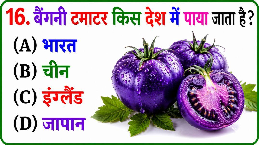 ⁣GK Question || GK In Hindi || GK Question and Answer || GK Quiz || Riya Rawani ||