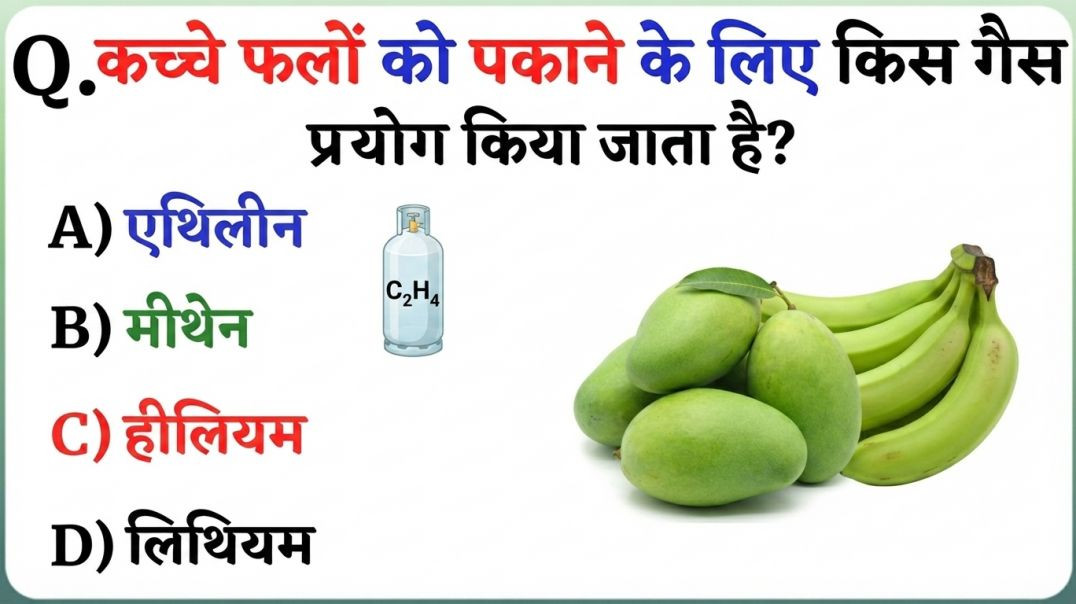 ⁣GK Question || GK In Hindi || GK Question and Answer || GK Quiz || Riya Rawani ||