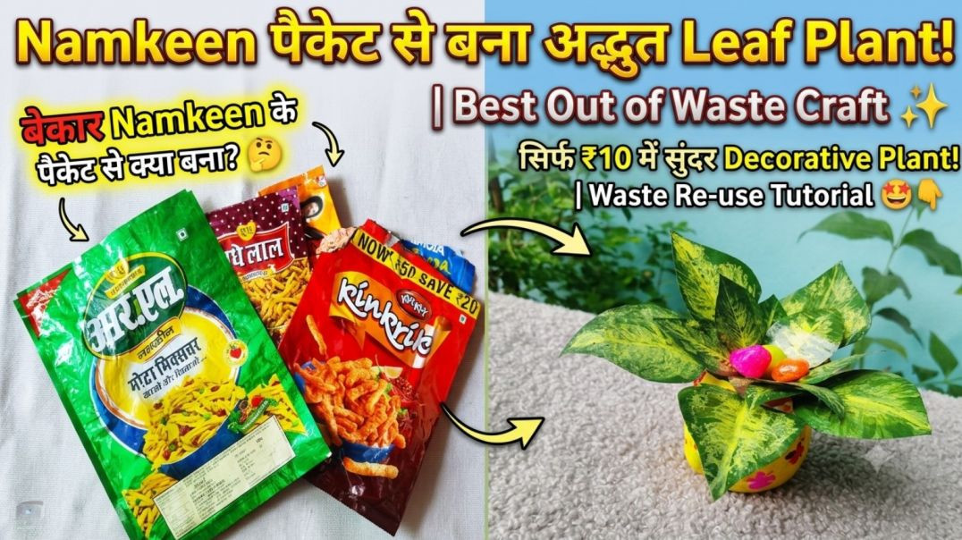 ⁣Namkin ke Khali packet se banae leaf plant