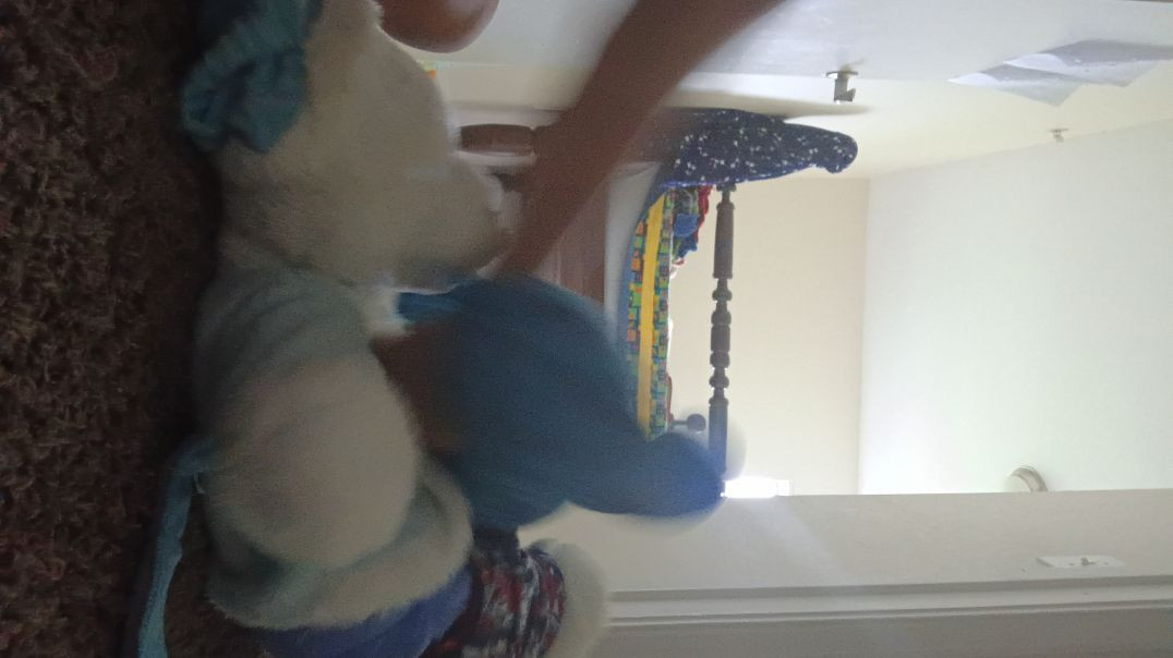 ⁣Evil Blue bear is hurting White bear (Watch the footage)