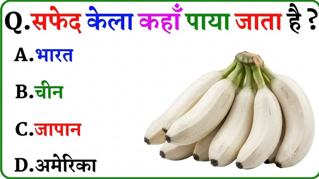 GK Question || GK In Hindi || GK Question and Answer || GK Quiz || Riya Rawani ||