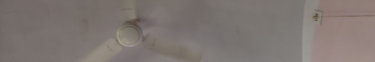106645178529436651762 