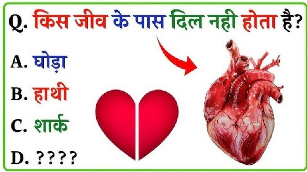 ⁣GK Question || GK In Hindi || GK Question and Answer || GK Quiz || Riya Rawani ||