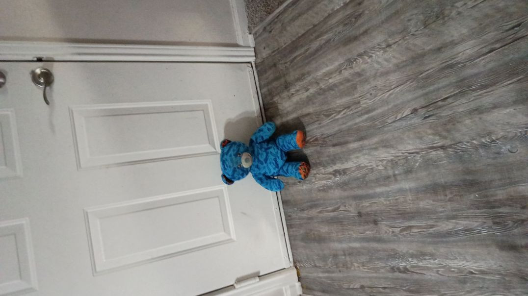 ⁣Blue bear can't stop smiling at the front door 😁