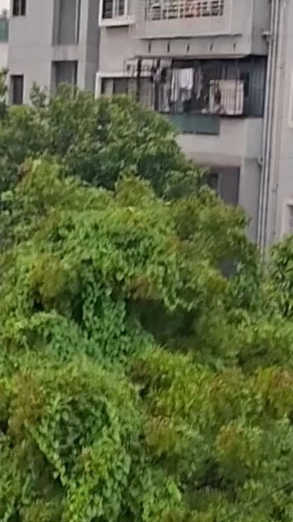मुसाफिर हूं यारों
