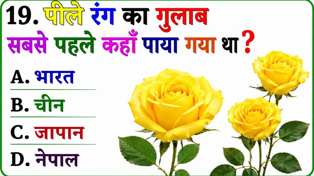⁣GK Question || GK In Hindi || GK Question and Answer || GK Quiz || Riya Rawani ||