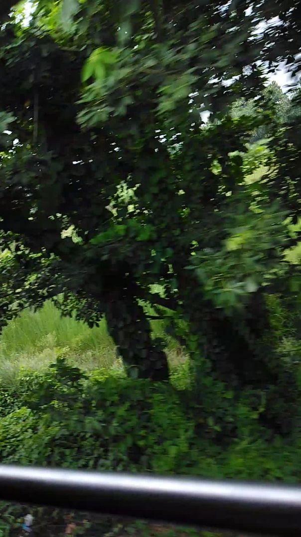 Train Window Nature View 🌿 Beautiful Village Journey Monsoon Green Fields