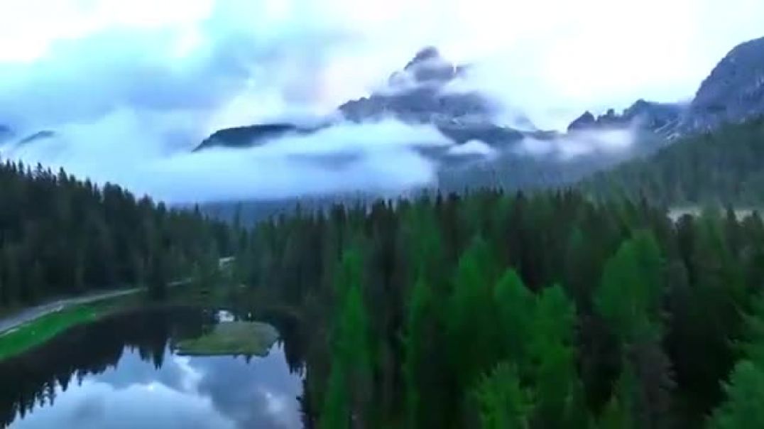 ⁣Nature-Video-20260722