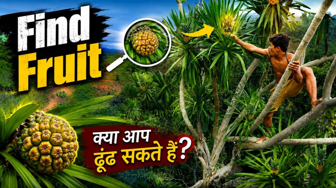 ⁣Fruits Found on the Hilltop – Nature’s Hidden Treasure! 🌄