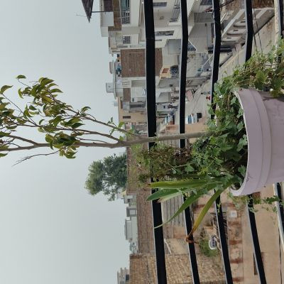 AmandeepSingh555