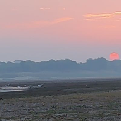 Raju Goswami